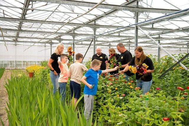 Kinderen en begeleiders plukken samen bloemen in de kas