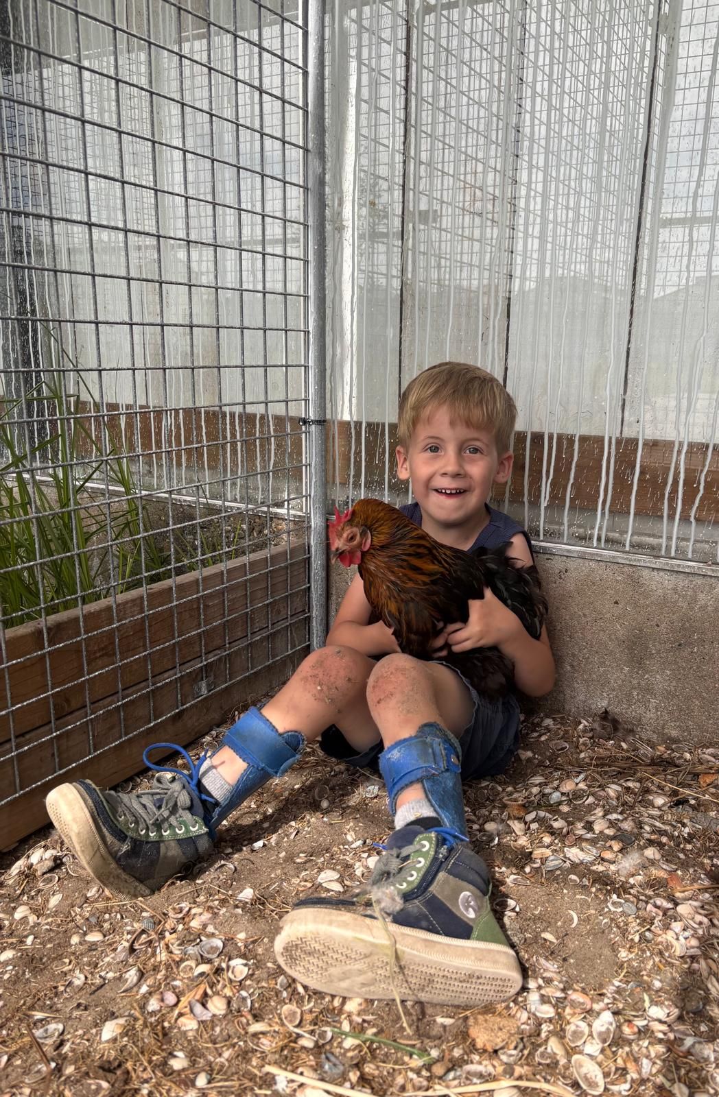 Een jongen knuffelt een kip